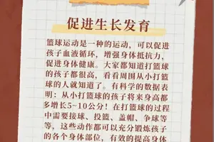  儿童篮球新人的成长路径：从初学者到未来之星
